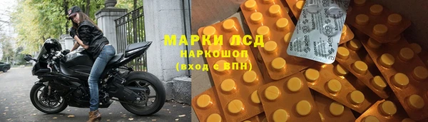 винт Инта