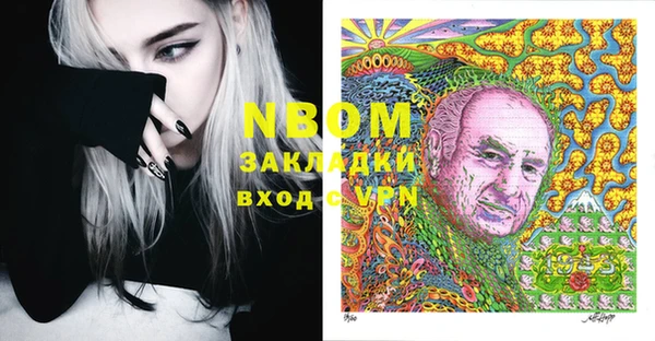 ПСИЛОЦИБИНОВЫЕ ГРИБЫ Инсар