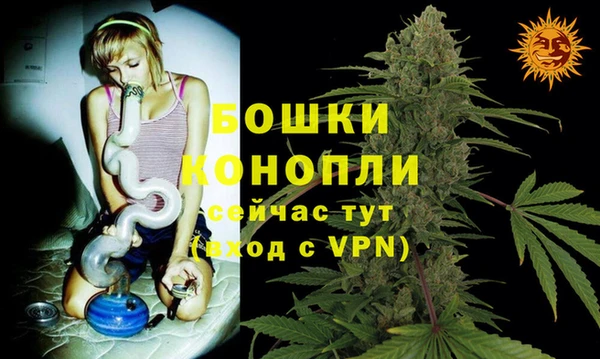 винт Инта