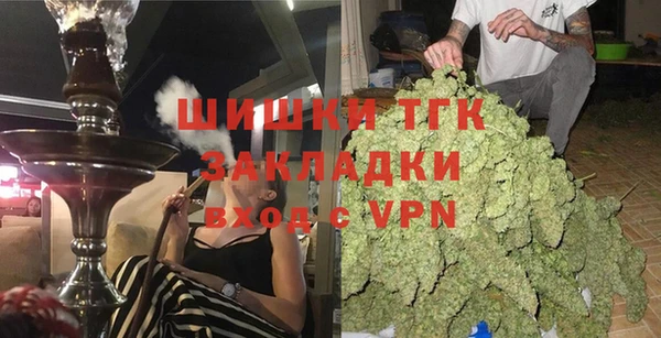 винт Инта