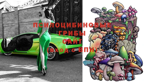 винт Инта