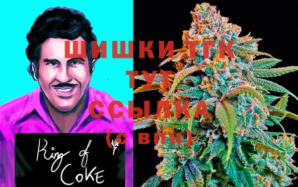 ПСИЛОЦИБИНОВЫЕ ГРИБЫ Инсар