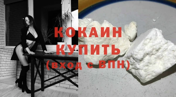 винт Инта