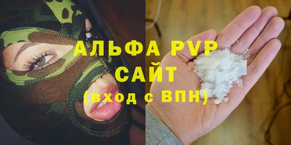 ПСИЛОЦИБИНОВЫЕ ГРИБЫ Инсар