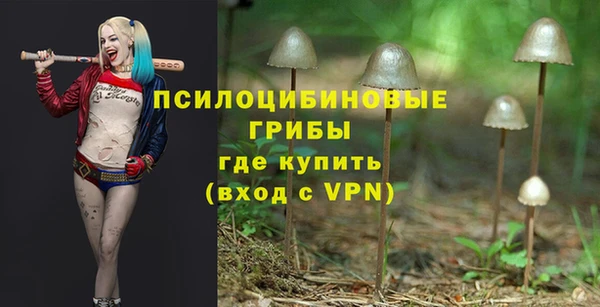 ПСИЛОЦИБИНОВЫЕ ГРИБЫ Инсар