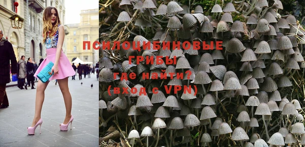 ПСИЛОЦИБИНОВЫЕ ГРИБЫ Инсар